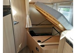 Low Profile Motorhome SUNLIGHT T-64 en Sale Occasion