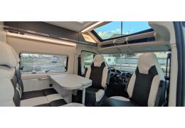 Camper Van ROLLER TEAM Livingstone 5 Advance in Sale Occasion