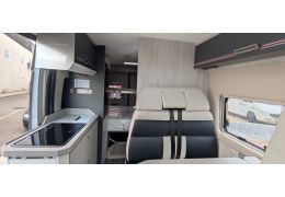 Camper Van ROLLER TEAM Livingstone 5 Advance in Sale Occasion