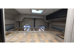 Camper Van ROLLER TEAM Livingstone 5 Advance in Sale Occasion