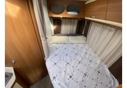 Low Profile Motorhome RIMOR Bluecamp in Sale Occasion