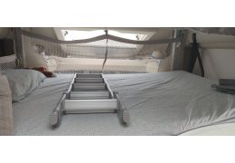 Low Profile Motorhome BENIMAR Tessoro 442 in Sale Occasion