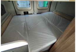 Camper Van SUNLIGHT Cliff 601 en Catalog