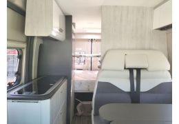 Camper Van ROLLER TEAM Livingstone 5 Sport en Sale Occasion