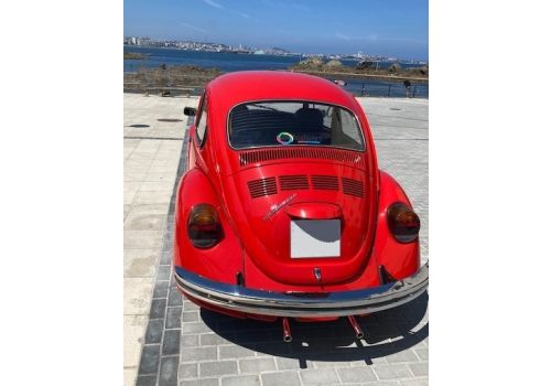 Various VOLKSWAGEN Escarabajo en Sale Occasion