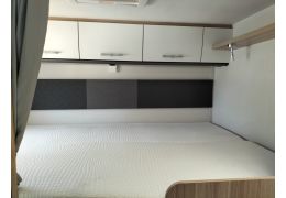 Low Profile Motorhome SUNLIGHT T 65 en Sale Occasion