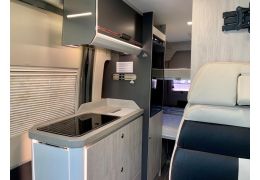 Camper Van ROLLER TEAM Livingstone 5 Advance en Sale Occasion