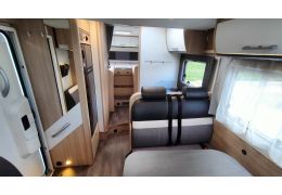 Low Profile Motorhome FIAT SUNLIGHT T68 en Sale Occasion