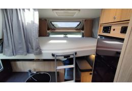 Low Profile Motorhome FIAT SUNLIGHT T68 en Sale Occasion