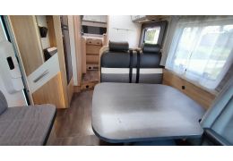 Low Profile Motorhome FIAT SUNLIGHT T68 en Sale Occasion