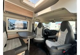 Camper Van SUNLIGHT Cliff 601 in Sale Occasion