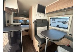 Camper Van SUNLIGHT Cliff 601 in Sale Occasion