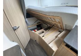 Low Profile Motorhome SUNLIGHT T58 in Sale Occasion