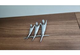 Integral Motorhome RAPIDO M96 in Sale Occasion