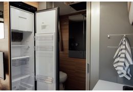 Low Profile Motorhome DETHLEFFS Just T 6762 en Sale Occasion