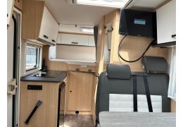 Low Profile Motorhome SUNLIGHT V60 in Rent