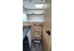 Low Profile Motorhome SUNLIGHT V60 in Rent