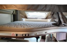 Low Profile Motorhome BENIMAR Tessoro 496 in Sale Occasion