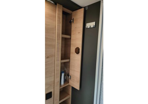 Low Profile Motorhome DETHLEFFS Globebus Camp T1 en Sale Occasion