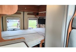 Camper Van GLOBECAR RoadScout R in Sale Occasion