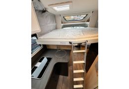 Low Profile Motorhome SUNLIGHT T67S in Rent