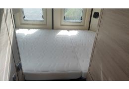 Camper Van RAPIDO V55 in Sale Occasion