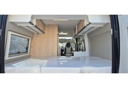 Low Profile Motorhome ACE Cliff 600 X Modelo 2025 in Catalog