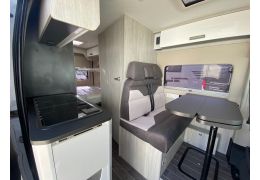 Camper Van ROLLER TEAM Livingstone 5 Sport in Catalog