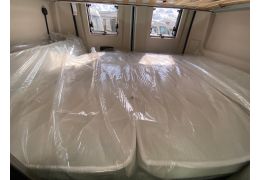 Camper Van ROLLER TEAM Livingstone 5 Sport in Catalog