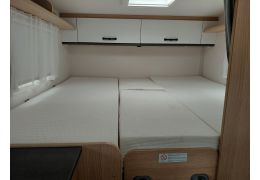 Low Profile Motorhome SUNLIGHT V66 in Rent