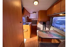 Capuchina Motorhome CI Elliot 5 en Sale Occasion