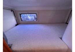 Capuchina Motorhome CI Elliot 5 en Sale Occasion