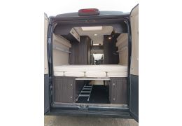Camper Van BENIMAR Benivan 119 in Sale Occasion