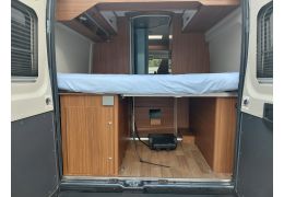 Camper Van GLOBECAR Globescout en Sale Occasion