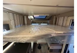 Low Profile Motorhome ROLLER TEAM Zefiro 267 TL in Catalog