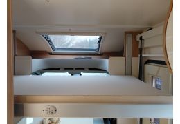 Low Profile Motorhome ROLLER TEAM Zefiro 291 TL in Sale Occasion