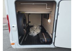 Low Profile Motorhome LAIKA Laika 55 edición exclusive en Sale Occasion