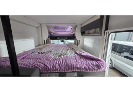 Low Profile Motorhome CHALLENGER 240 en Sale Occasion