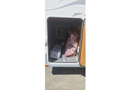 Low Profile Motorhome GIOTTILINE Therry T33 en Sale Occasion
