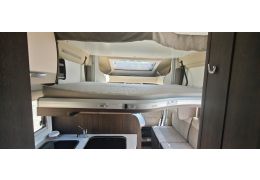 Low Profile Motorhome BENIMAR Tesosoro 442 en Sale Occasion
