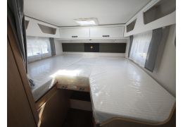 Low Profile Motorhome SUNLIGHT T670S en Catalog