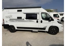 Camper Van MC LOUIS Yearling en Sale Occasion