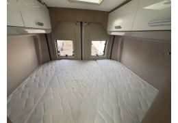 Camper Van MC LOUIS Yearling en Sale Occasion