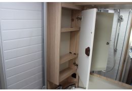 Low Profile Motorhome SUNLIGHT T 58 en Sale Occasion