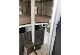 Camper Van WESTFALIA Sven Hedin modelo 2019 en Catalog