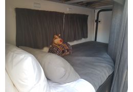 Low Profile Motorhome BENIMAR Mileo 224 en Sale Occasion