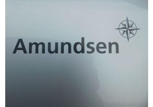 Camper Van WESTFALIA Amundsen 600D en Sale Occasion