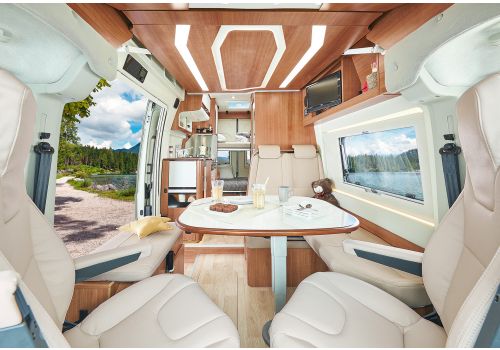 Camper Van DREAMER Family Van en Sale Occasion