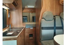 Camper Van GLOBECAR Globescout Plus en Sale Occasion