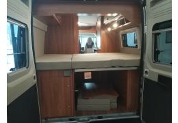 Camper Van GLOBECAR Globescout Plus en Sale Occasion